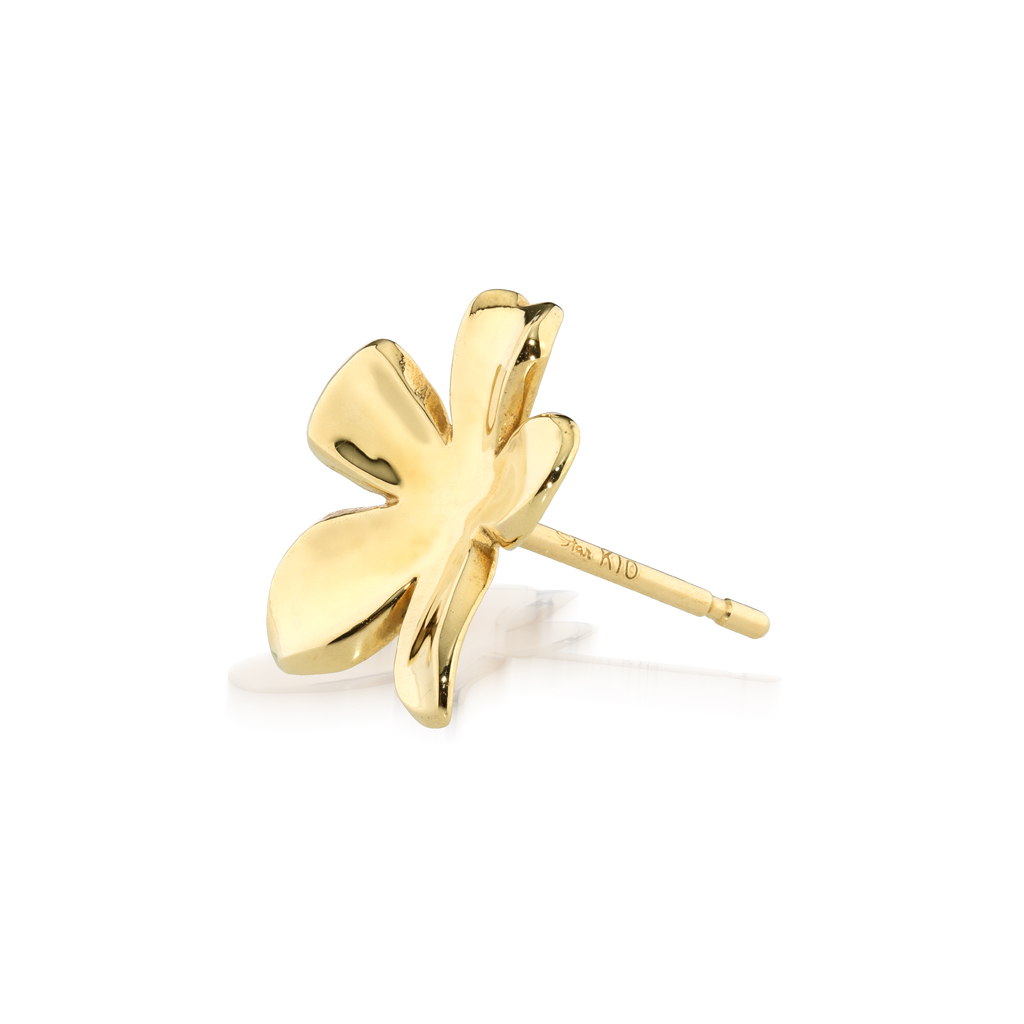 TRANSPARENT FLOWER