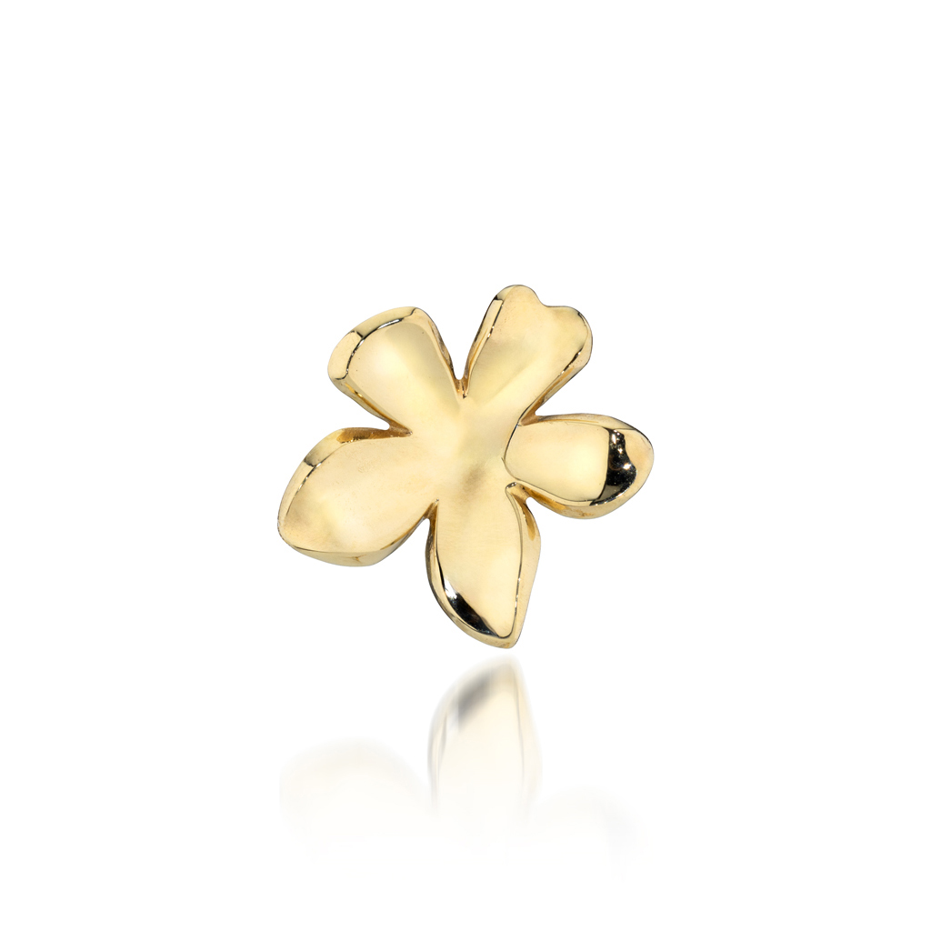 TRANSPARENT FLOWER